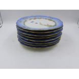 A SET OF EIGHT CONTINENTAL PORCELAIN PLATES WITH PALE BLUE BORDERS HAND PAINTED WITH BIRDS. D.22cms.