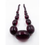 A GRADUATED ROW OF OVAL CHERRY RED AMBER BEADS. APPROXIMATE WEIGHT 87grms, APPROXIMATE LENGTH 54cms.