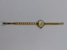 A LADIES 9ct GOLD MANUAL WOUND CYMA WATCH. THE CASE HAS A CHESTER TOWN MARK DATED 1961.