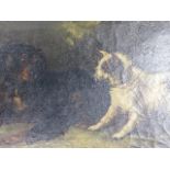 ATTRIBUTED TO GEORGE ARMFIELD (MID.19th.C) PORTRAIT OF TWO DOGS, OIL ON CANVAS. 23 x 33.5cms.