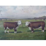 H.CROWTHER EARLY 20th.C.BRITISH NAIVE SCHOOL, PORTRAIT OF TWO PRIZE BULLS SIGNED AND DATED 1921, OIL