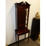 AN EDWARDIAN CHIPPENDALE STYLE MAHOGANY CABINET ON STAND. 58 x 183cms.