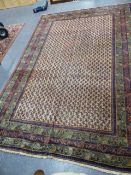 PERSIAN CARPET OF SEREBAND DESIGN. 210 x 318cms.