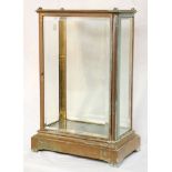 French Beveled Curio Case