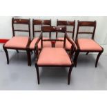 5 Georgian Mahogany Rope Back Sabre Legged Dining Chairs with drop-in seats (4 side + 1 carver)