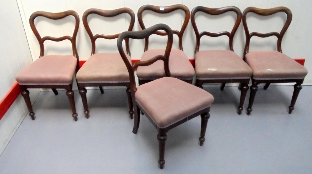 Set 6 C19th Rosewood Balloon Back Dining Chairs on turned front supports, overstuffed seats 6)