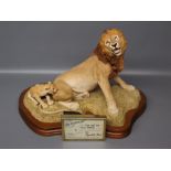 "Wild Track" model of a lion and cub by Chris Rottray, with framed certificate, raised on teak