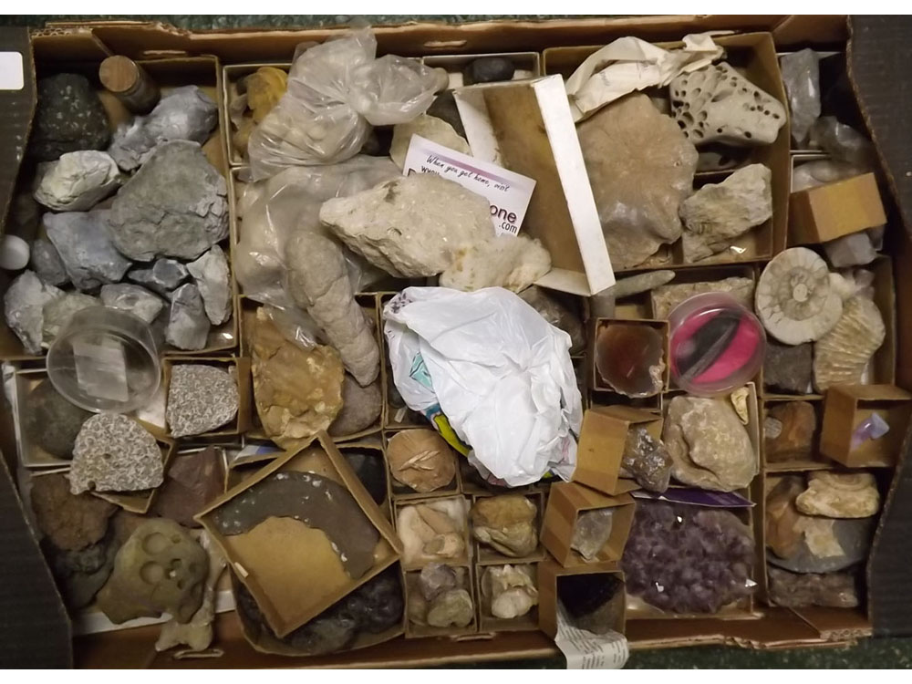 Two boxes: quantity of fossils and minerals