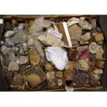 Two boxes: quantity of fossils and minerals