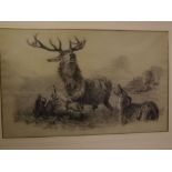 After Landseer, charcoal drawing, Stags, 13 x 21 ins