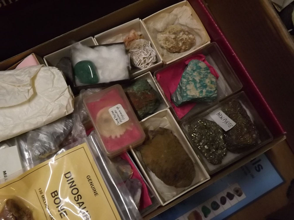 Two boxes: quantity of fossils and minerals - Image 5 of 6