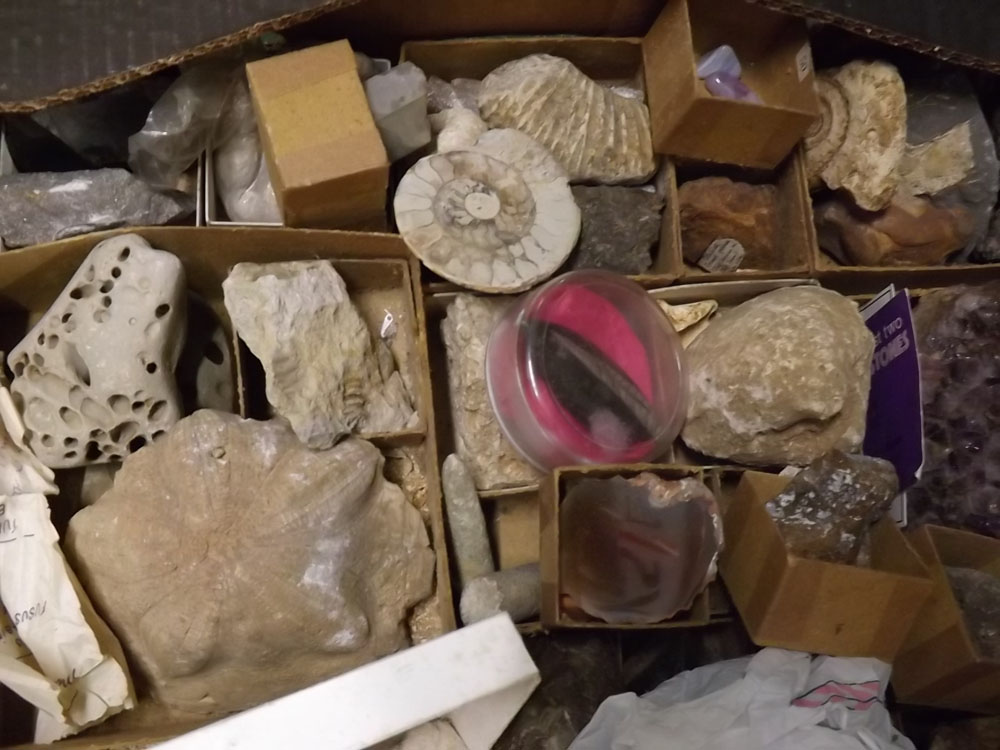 Two boxes: quantity of fossils and minerals - Image 2 of 6