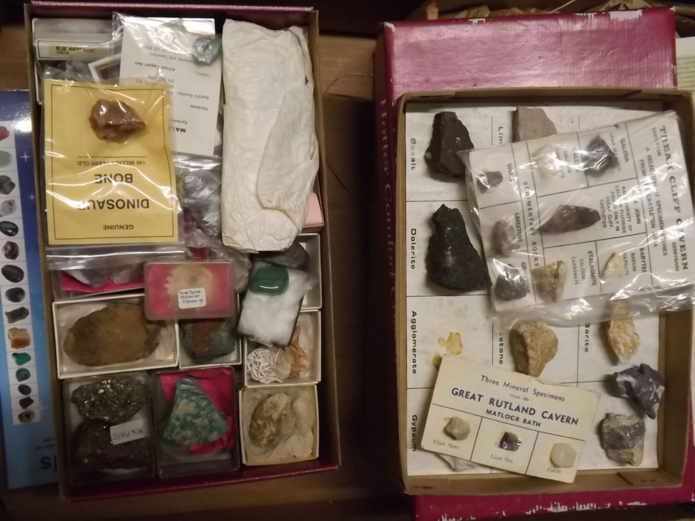 Two boxes: quantity of fossils and minerals - Image 4 of 6