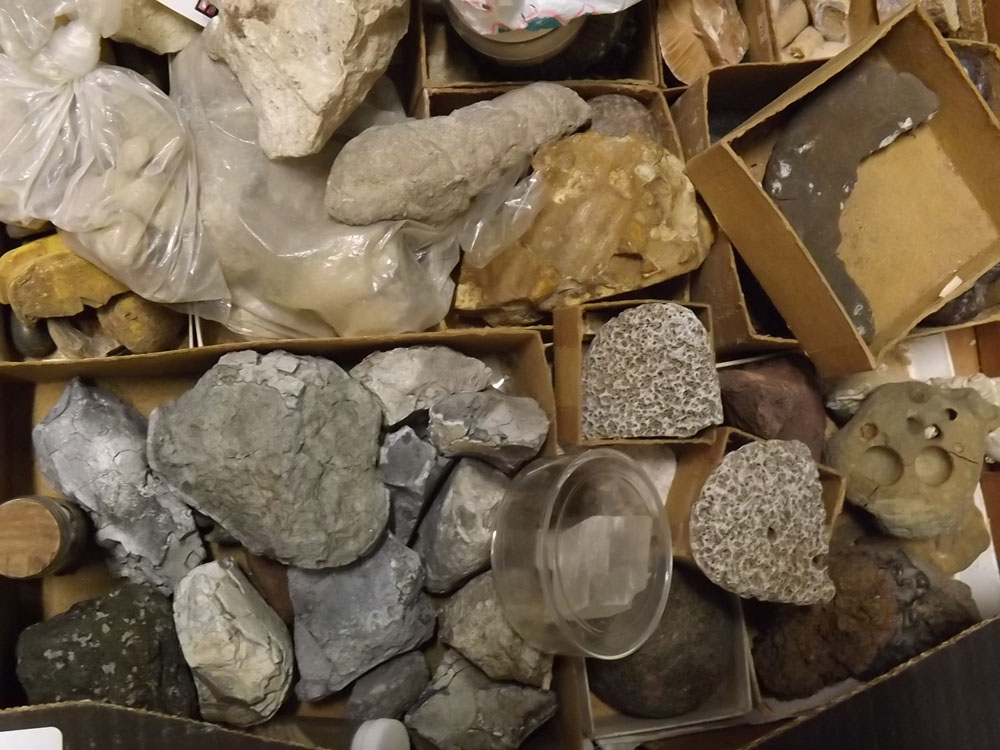 Two boxes: quantity of fossils and minerals - Image 3 of 6