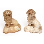 Pair of early 19th century models of seated poodles, each with shredded clay ruffs and tails,