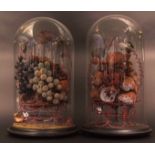 Pair of late Victorian glass domes, containing decorative fruit/flower arrangements, 16 ins high and