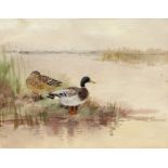 *ROLAND GREEN (1890-1972, BRITISH) "Mallard" watercolour 7 x 9ins Provenance: Mandells Gallery,