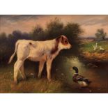 WALTER HUNT (1861-1941, BRITISH) Calf with duck by a river oil on canvas, signed and dated 1925