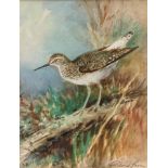 *ROLAND GREEN (1890-1972, BRITISH) "Dunlin" watercolour, signed lower right 7 x 5 1/2 ins