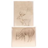 ATTRIBUTED TO JOHN CYRIL HARRISON (1898-1985, BRITISH) "Kudu" pencil drawing, inscribed with title