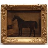 ATTRIBUTED TO JAMES BLAZEBY (19TH CENTURY, BRITISH) Horse in stable oil on board 12 x 16 ins