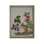 Eileen Maries, signed, watercolour, Mouse with berries, 8 x 6ins