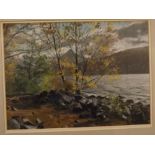 Richard Aldred, signed watercolour and chalk pastel, "Birches, Loch Rannoch", 10 x 14ins