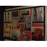 Framed montage group of coloured and black and white nude photographs, 17 x 24 1/2 ins and a