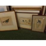 Group of six hand coloured engravings, Botanical subjects etc, assorted sizes (6)