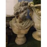 Composition bust of a classical gent, on circular base, 20ins wide x 30ins tall