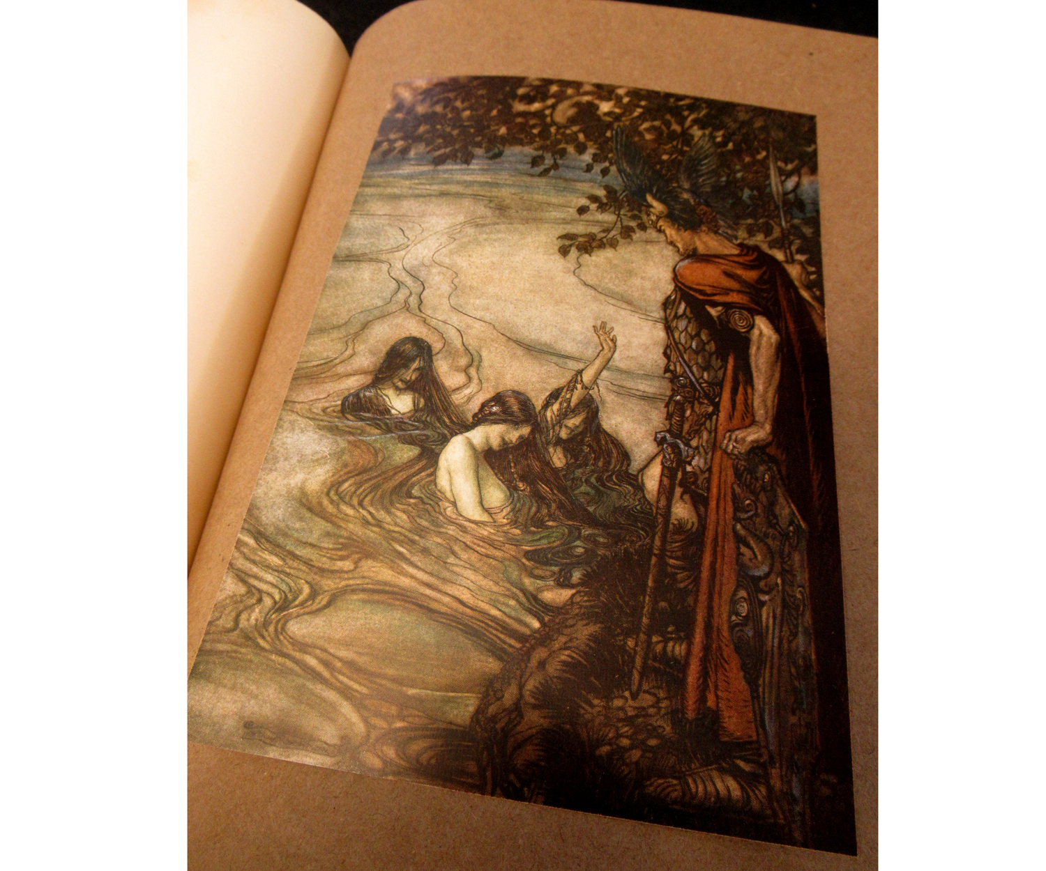 RICHARD WAGNER: SIEGFRIED AND THE TWILIGHT OF THE GODS, illustrated Arthur Rackham, London, - Image 9 of 26