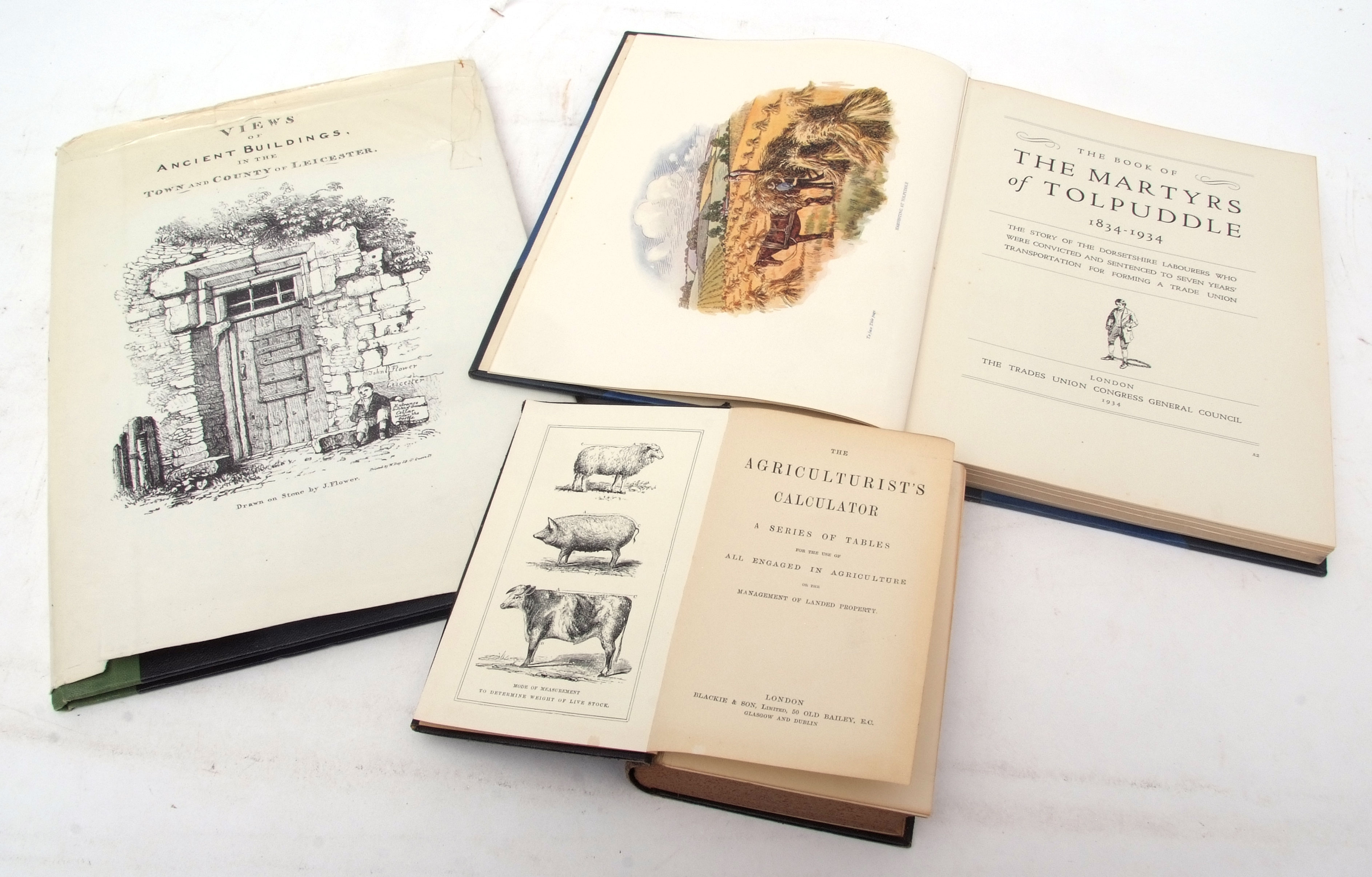 J FLOWER: VIEWS OF ANCIENT BUILDINGS IN THE TOWN AND COUNTY OF LEICESTER, Syston, De Elarge, circa