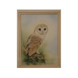 Andrew Osborne, signed, watercolour, Owl, 12 x 9ins