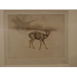 F S Stal, signed in pencil to margin, black and white etching, Deer in landscape, 5 x 6ins