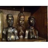 Three African ebony busts, tallest 14ins