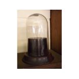 Small cylindrical glass dome with turned wooden socle, overall height 8ins