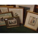 Group of eight 19th century hand coloured engravings, figurative studies, birds, coaching scene etc,