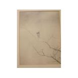 Charles Prosper Sainton (1861-1914), signed Silverpoint drawing of a fairy seated on the branch of a