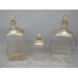 Pair of 19th century rectangular decanters with gilded grape and vine decoration (rubbed) with