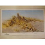 David Shepherd, signed in pencil to margin, limited edition (817/1000) coloured print, "The Cheetahs