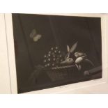 Leonard Marchant, signed limited edition (14/50) etching and mezzotint, Basket of fruit, 10 x 13ins.