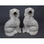 Pair of Staffordshire style seated dogs, 12ins high