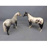 Beswick Appaloosa Horse together with a further grey Horse with white features (2), 9ins wide x 8ins