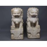 Pair of good quality white marble carved temple dogs raised on a square plinth, 15ins tall x 9ins