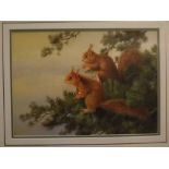 Neil Cox, signed watercolour, Pair of red squirrels, 10 x 13 + ins