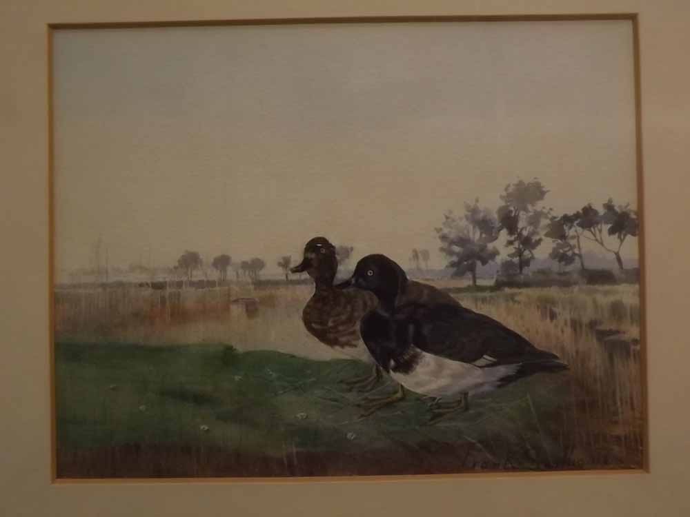 Frank Southgate, signed watercolour, Ducks in a landscape, 9 x 11ins
