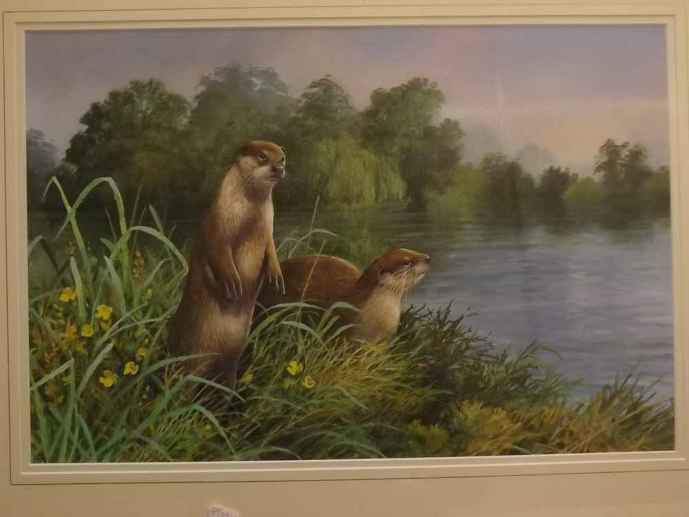 Neil Cox, signed watercolour, Otters by a rivers edge, 14 x 21ins