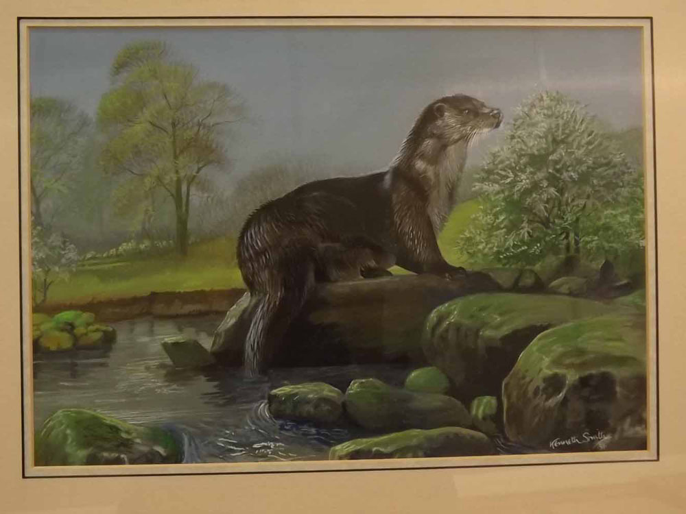 Kenneth Smith, signed and date 91, gouache, Otter, 10 x 15ins