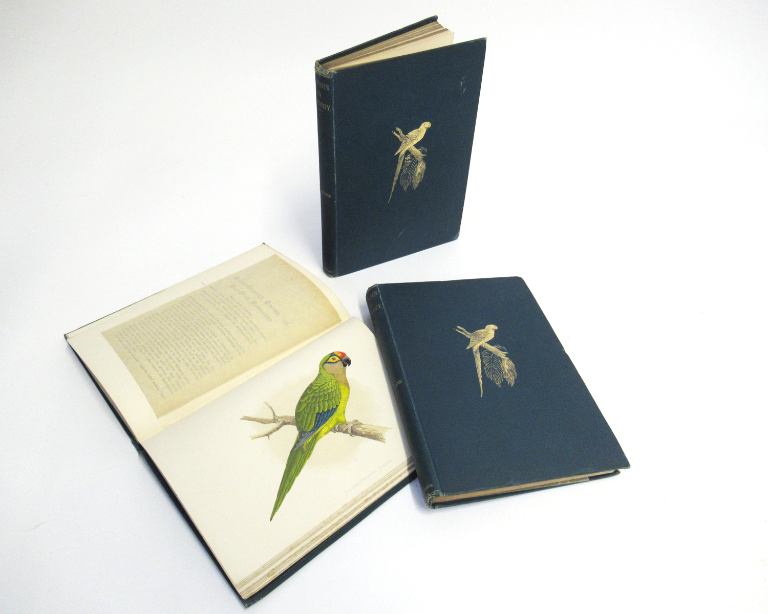 WILLIAM THOMAS GREEN: PARROTS IN CAPTIVITY WITH NOTES ON SEVERAL SPECIES BY THE HON & REV FG DUTTON,