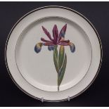 Creamware botantical plate - Spurious Iris 8 1/4ins